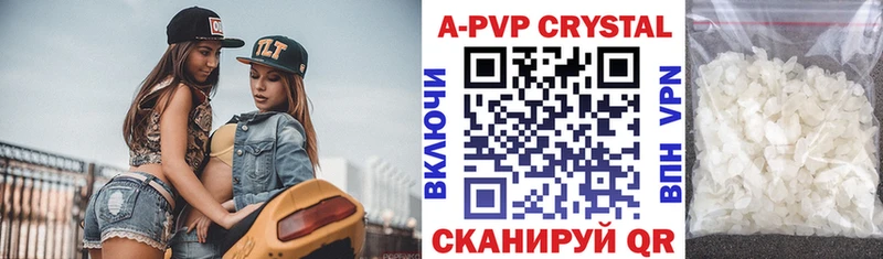 omg сайт  Петропавловск-Камчатский  Альфа ПВП СК КРИС 