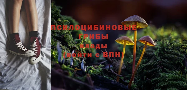 СК Алексеевка