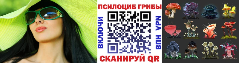 Галлюциногенные грибы прущие грибы  где найти наркотики  Петропавловск-Камчатский 