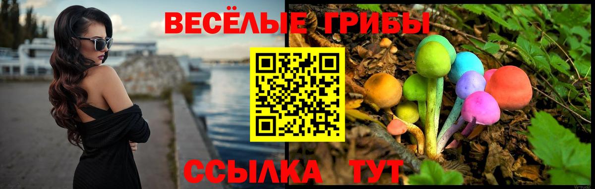 Псилоцибиновые грибы мухоморы Петропавловск-Камчатский