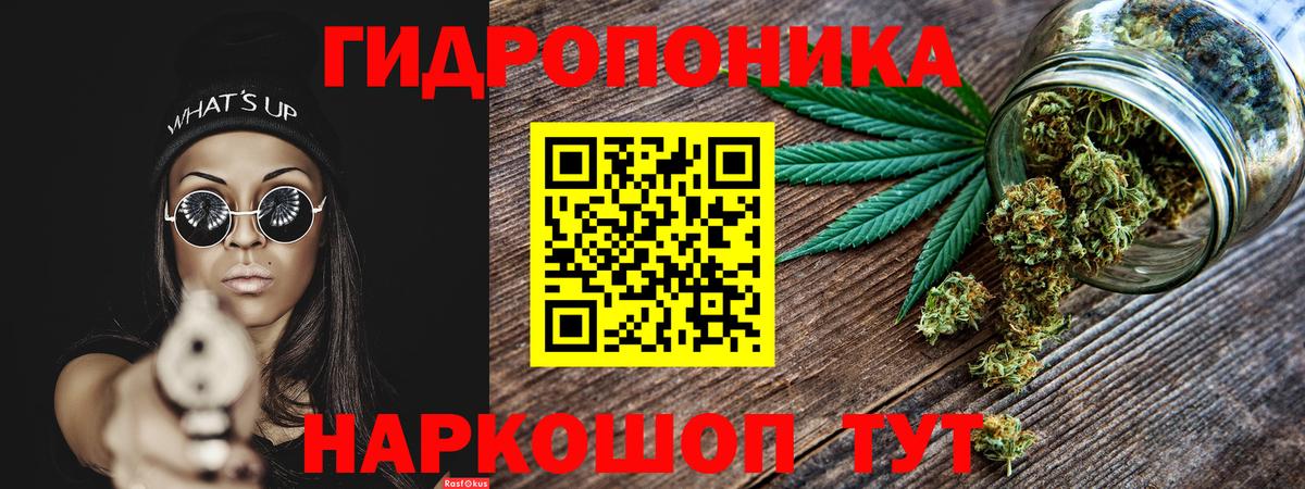 Марихуана марихуана Петропавловск-Камчатский